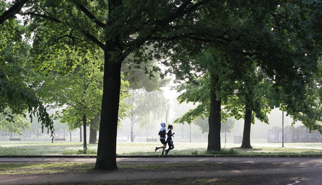 Tag der Parke