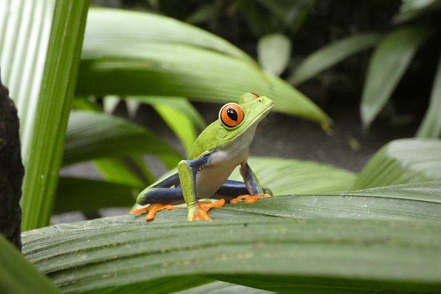 Costa Ricas Nationalparks