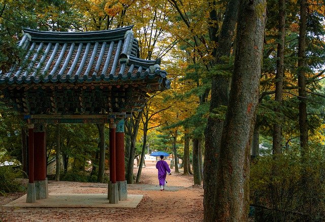 Tag des Baumes Südkorea