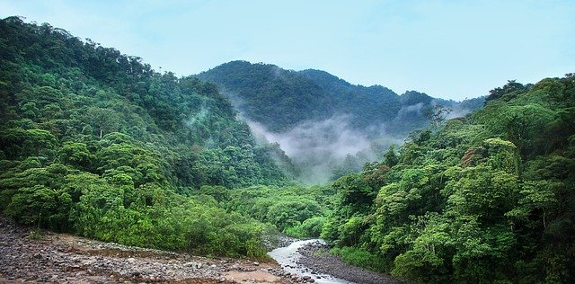 Tag des Baumes Costa Rica