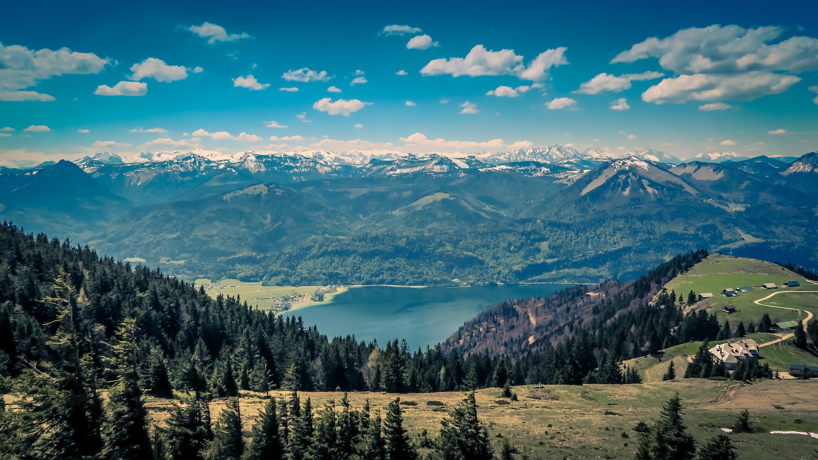 Umzug nach Österreich: 5 Tipps für einen reibungslosen Start!