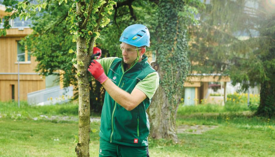 Trends in grüner Reinigung für gewerbliche Räume